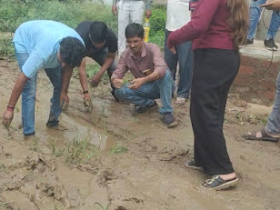 कटारा हिल्सभोपाल के कटारा हिल्स स्थित स्वर्ण कुंज कॉलोनी में सड़क बनी दलदल, रहवासियों ने कीचड़ में धान लगाकर किया अनोखा विरोध प्रदर्शन