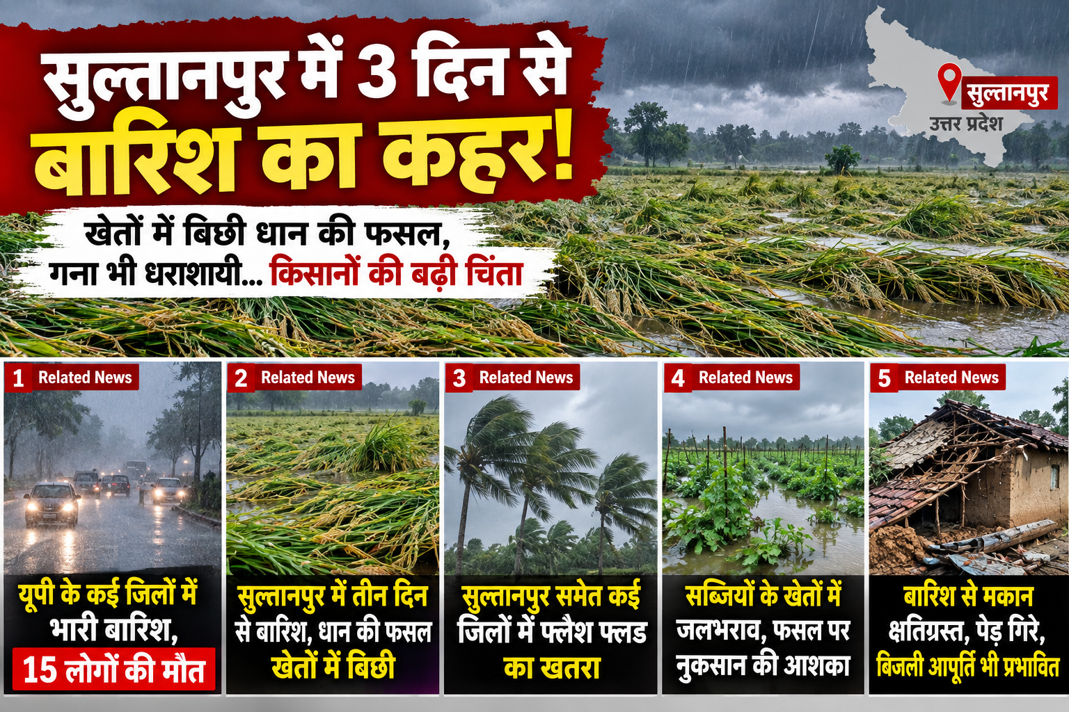 UP सुल्तानपुर में 3 दिन से बारिश का कहर! खेतों में बिछी धान की फसल, गन्ना भी धराशायी… किसानों की बढ़ी चिंता